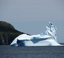 Newfound Ice Castle Pt 1 by Stephen Ryan