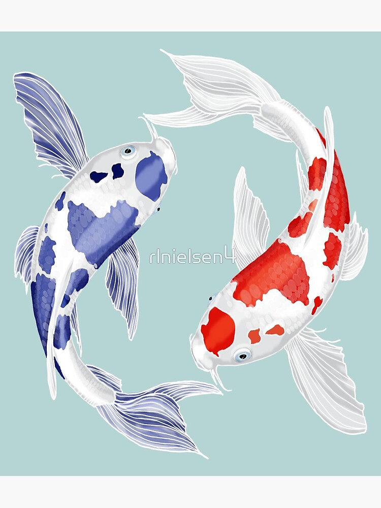 Yin Yang Koi Fish Poster For Sale By Rlnielsen Redbubble