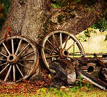 Retired cart by Anthony and Kelly Rae
