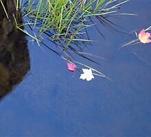 Love floating... by Serendipity2lip