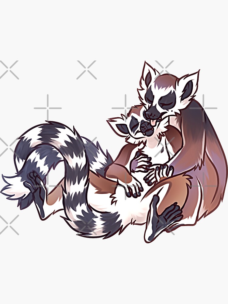 Couple Of Ring Tailed Lemur Sticker For Sale By Mr Lemur Redbubble