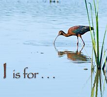 I is for . . . by Bonnie T. Barry