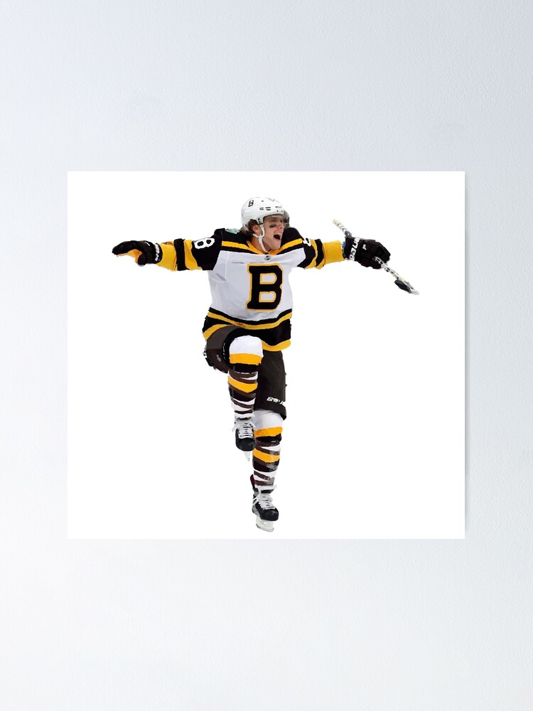 David Pastrnak Winter Classic Poster For Sale By Livcharb Redbubble