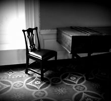 The Pianist by AriaImages