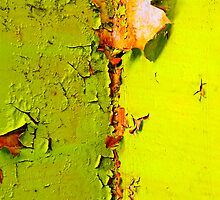 Going Green by Skip Hunt