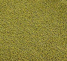green seeds by dominiquelandau