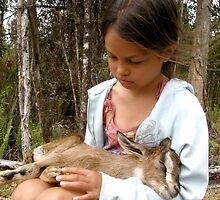 Speak What You Seek~Declare Blessings by Kuulei2you