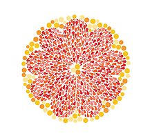 Citrus × Paradisi (Concentrate Grapefruit Juice) by alfablot