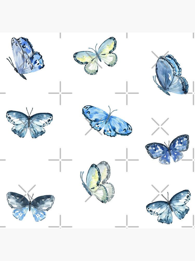 Watercolor Blue Butterfly Collection Poster For Sale By Silviaol