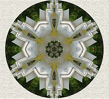 Flowers Mandala by Thanya