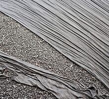 Coal by dominiquelandau