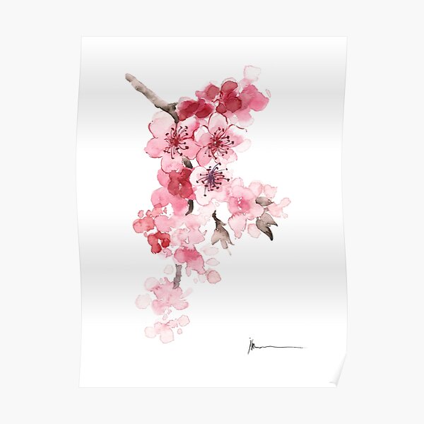 Sakura Flowers Watercolor Art Print Painting Poster By Asiaszmerdt