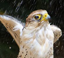 Just a shower.... by jdmphotography