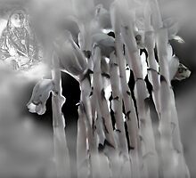 Origin of the Indian Pipe Plant by Danielle Davenport