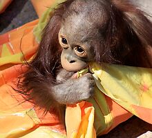 Baby and Blankie by Sue Cullumber