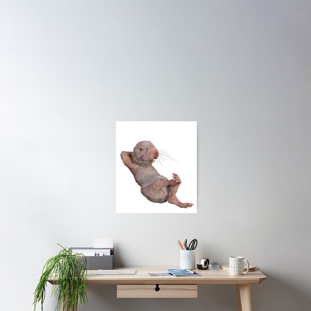 I Just Really Like Naked Moles Ok Funny Naked Mole Rat Poster For Sale By Epicbeast Redbubble