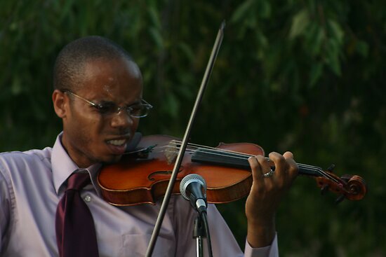 African Violin