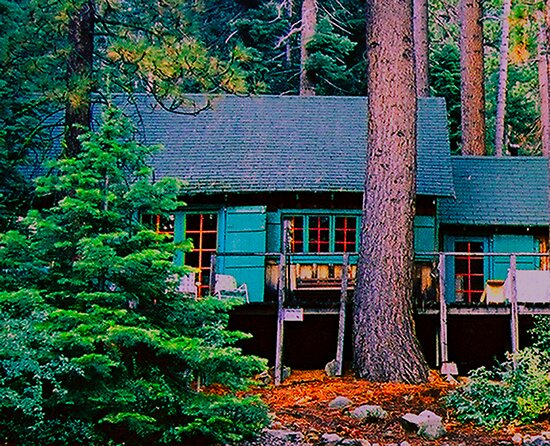 fallen leaf cabin