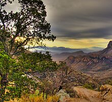 Big Bend Dawn by LarryGambon