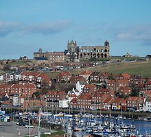 Whitby by dougie1