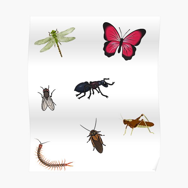 Bug Friends Poster For Sale By Zaibo Redbubble