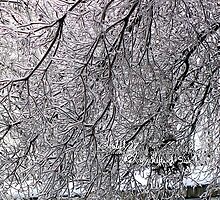 ice maze by LoreLeft27