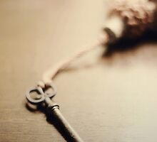 A Key.... by Trish Mistric