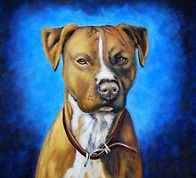 'Angel in Blue' - American Staffordshire Terrier by thatdogshop