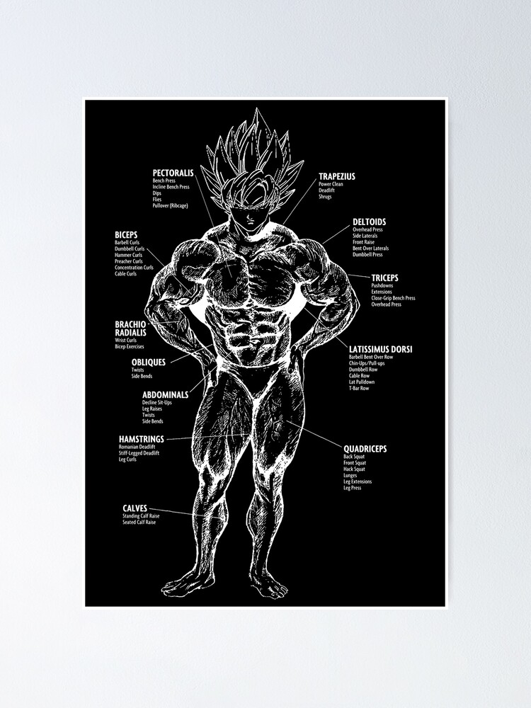 Goku Muscle Chart Anatomy Diagram Anime Workout Poster For Sale By