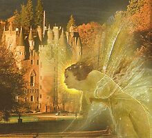 Fairy blessing the Laird by hilarydougill