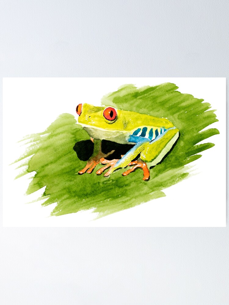 Tree Frog Watercolour Painting Poster For Sale By Cynicky Redbubble