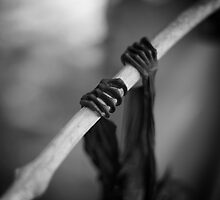 Fruit Bat Claws by Jim Moore