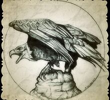 bald eagle drawing by RobCrandall
