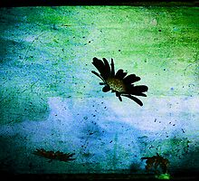 Inspired 6 by Vulcan Spark Studios