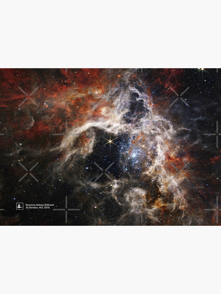 Jwst Tarantula Nebula Doradus Ngc James Webb Jwst Space