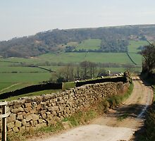 A View near Danby Castle by dougie1