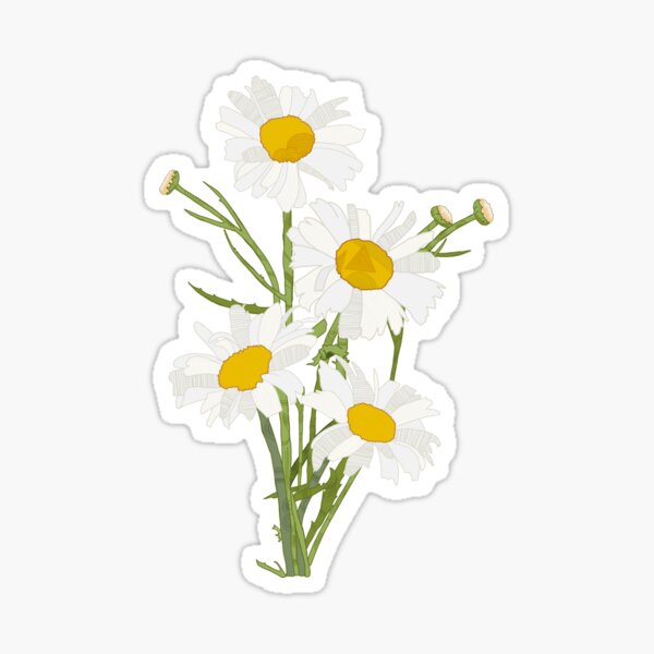 Daisy Flowers Sticker For Sale By PumpkinChum Redbubble