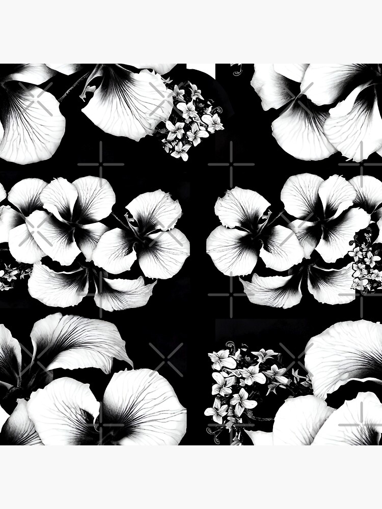 Black And White Plumeria Sticker For Sale By Ifeni Redbubble