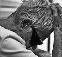Misery by denise romano