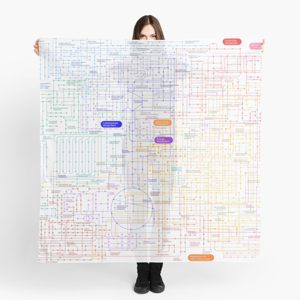 Metabolic Pathway Map Scarf For Sale By ScienceStores Redbubble