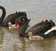 A Family Affair by Rachael Taylor