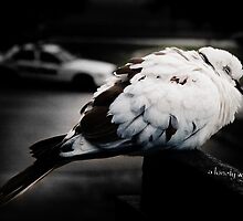 a lonely world by Abdel Soudan