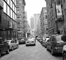 Greenwich Village Cobble Stone Streets Untouched. by sarahpoodle