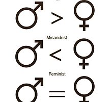 Misogynist, Misandrist, and Feminist by dragon-s