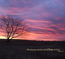 Heaven's Declare by back40fotos