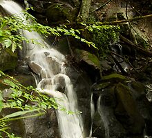 Guess what? More Laurel Falls!! by solareclips~Julie Alexander