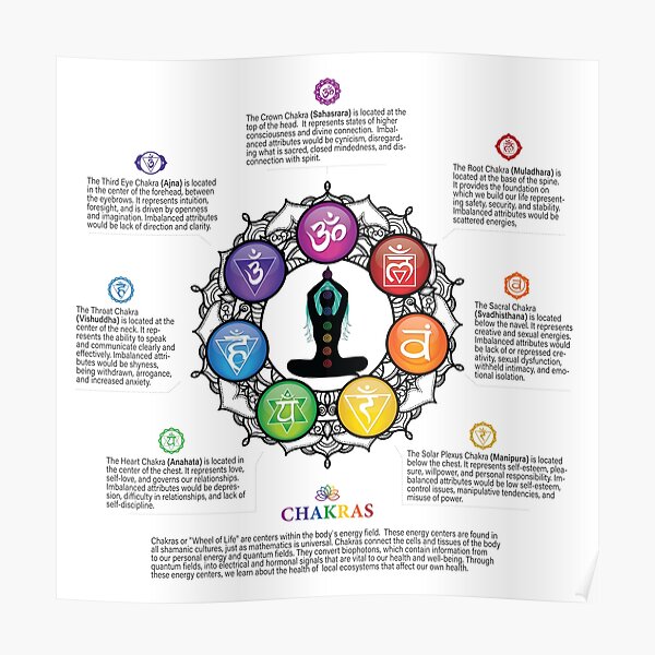 Chakras Wheel Poster Wbg Poster For Sale By Chakraplaza Redbubble