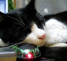 This is my Mouse by Rosy Kueng