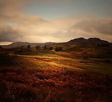 MOMENTS IN TIME by leonie7
