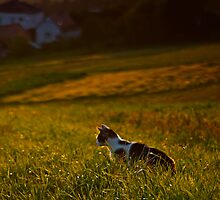 I find You by houk